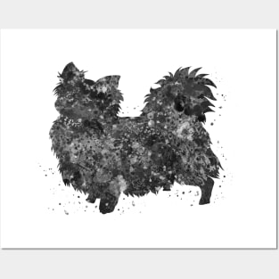 chihuahua long hair black and white Posters and Art